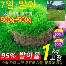[특가!1+1] 7일 발아 잔디 씨앗 추위와 가뭄 저항/사계절 내내 푸르게 유지, 1+1 (60m² 재배 가능), 500g 잔디 씨앗
