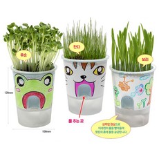 화분 물주기 (SA) 거꾸로 (식물키우기)(1인), 보리