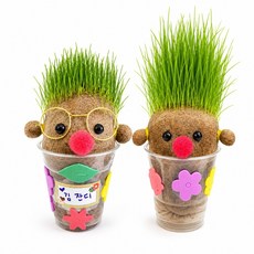 나만의 잔디인형키우기키트, 1개