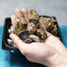 [푸드맛봄] 국내산 급냉 1급 거북손 500g /거문도 근해, 1개, 상세 설명 참조