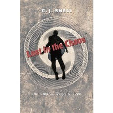 (영문도서) Lost in the Chaos: Immanence Despair Hope Paperback, Angelico Press, English, 9781621389552