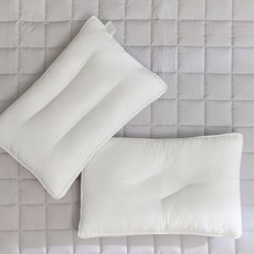 파르페 파르페by알레르망 투웨이 워셔블 양면경추베개솜 50x70 797402