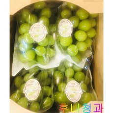 [후니청과] 2kg 4kg 달달 아삭 샤인머스켓, 2kg(실속형), 1박스