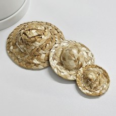 선인장미니밀짚모자 스투키장식밀짚모자 반려식물