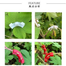 花卉植物定型工具 90度植物彎管機 枝葉塑形園藝固定器，植物彎曲器, 1個