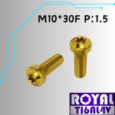 【瘋螺絲】ROYAL 鈦合金螺絲 M10*30F P:1.5 飛碟頭型螺絲 64鈦 土豪金, 1個