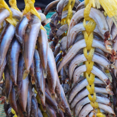 제일농수산 햇양미리 반건조양미리 2두름(40미), 3일건조2두름(40마리), 1개