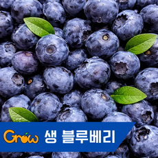 엄선한 칠레산 생블루베리, 1개, 5팩 (125g, 18mm)