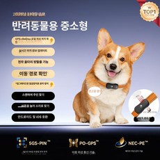 아티 자전거gps추적기 초소형 추적기 자전거 GPS, 기본 구성품, 5G 블랙- 소형 및 중형 [베이더우 센티미터급 실시간
