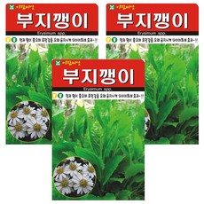 부지깽이 씨앗, 3개