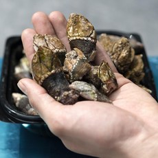 자연산 급냉 거북손 500그램 1키로 국내산 냉동 거북손 배말 삿갓조개 무인도채취, 1세트, 거북손 500g