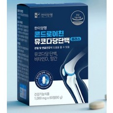 콘드로이친 뮤코다당단백 플러스 60정 KS한미, 1개, 1정