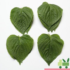 사라상회 찹찹이 깻잎 (1상자) 1kg, 1박스