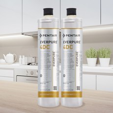 EVERPURE 4-DC濾心 - 原裝進口, 1個, 雙入裝(售出無保固), 雙入裝(售出無保固)