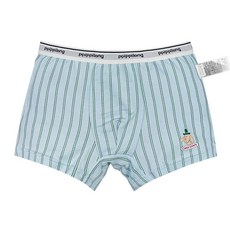 삐삐롱 [삐삐롱25FW]루미오 남 코튼모달스판 드로즈 팬티