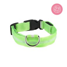투냥투멍 강아지 산책 LED 라이트 목줄 리드줄 목걸이, 그린, 2개