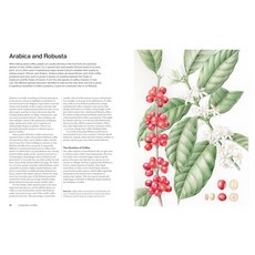The World Atlas of Coffee 3rd edition: From bea...