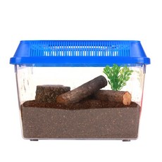 곤충농장 장수풍뎅이 블루 일반 초급 먹이 접시 1구 세트, 1세트