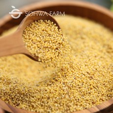 2025년 국산 메좁쌀 메조 메좁쌀, 1kg, 1개