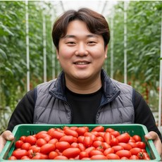 청년농부 고당도 대추방울토마토, 1개, 3kg(대과)