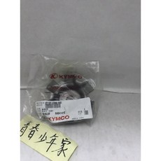 KYMCO 光陽 原廠 LDA6 壓板 適用於 GP V2 V1 G4, 1個