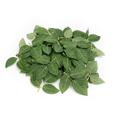 仿真花桿 DIY手工製作 有錢花半成品材料包 裝飾擺件, 1個, 葉子 2片