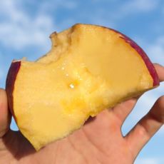 [단하루특가] 과육폭팔 못난이사과 안동 부사사과, 1개, 5kg