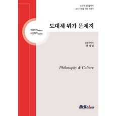 도대체 뭐가 문제지:노년의 경영철학자 - 소수 지성을 위한 에세이, 비아이지하우스, 전영걸
