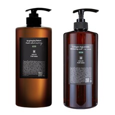 홀츠포맨 클렌징폼 올인원 2종세트 남성 남자 리터폼, 1세트