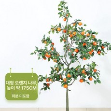 오렌지 귤 인조 나무 제주도 감귤 인테리어 장식 실내 조경, 대형 오렌지 나무