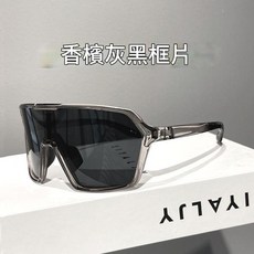香檳灰變色鏡 騎行眼鏡 女用防風抗紫外線 登山護目墨鏡, 香檳灰 - 黑灰片 不變色, 1個