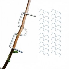 아띠꼴로 잘 휘어지네 가지유인 E클립 사과나무 이클립 50개 소형