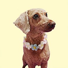 꽃 고양이 목걸이 강아지 용품 반려동물 Myou5+9mXa