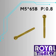 ROYAL M5*65B P:0.8 鈦合金錐形螺絲 土豪金, 1個