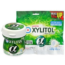 롯데 자일리톨 알파 껌 용기86g +리필102g GUM 입가심