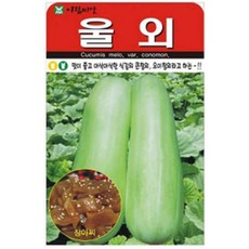 울외 씨앗 20립 아람, 1개