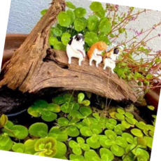 미니어처 고양이 장식 어항 꾸미기 수족관 물고기키우기 어항용품 물고기어항, A