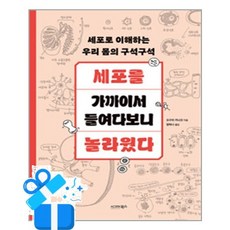 [시그마북스] 세포를 가까이서 들여다보니 놀라웠다 / 마스크제공, 시그마북스