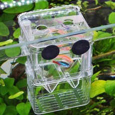 이헌 물고기 격리 부화 통 소형 열대어부화통