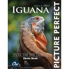 (영문도서)Iguana: Picture Perfect Photo Book Paperback, Independently Published, English, 9798272130679