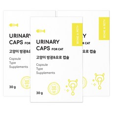 본아페티 유리나리캡스 고양이 방광 요로 결석 영양제 60캡슐 3개