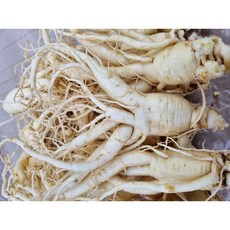 풍기햇인삼 6년근 깨끗한A급 (1Kg750g500g250g) 세척난발삼 무료세척 진공포장, 1kg, 1개