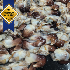 (여수)어획즉시 급냉 손질 새조개 샤브샤브 숙회용(노랑새조개200G 초코새조개200G), 1개, 급냉 노랑새조개200G