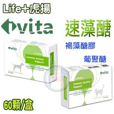 虎揚 ivita 速藻醣葡聚醣犬用營養品 (獸醫師推薦/獸醫院專用) 60顆/盒 贈送零食, 1個, 速藻醣60顆/盒,寵物貓貓+【貓零食】【選這邊】