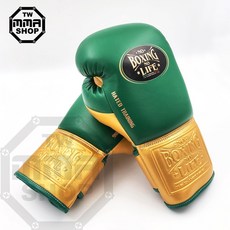 NO BOXING NO LIFE 拳擊拳套 綠金配色 專業訓練手套, 1個