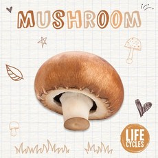 (영문도서) Mushroom Paperback, Booklife, English, 9781839271571