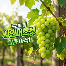 [부부농장] 고당도 실속형 한입 샤인머스켓, 1박스, 500g