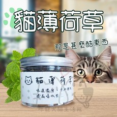 喵啾寵物小舖 貓薄荷草 20g, 1個