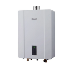 Rinnai 即熱式燃氣熱水器 RUA-C1600WF (天然氣NG1)(不含安裝), RUA-C1600WF(NG1)