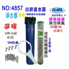 餐飲用淨水器：全戶式水塔除氯除污二合一碳纖維活性碳濾心 20英吋單管過濾器, 1個